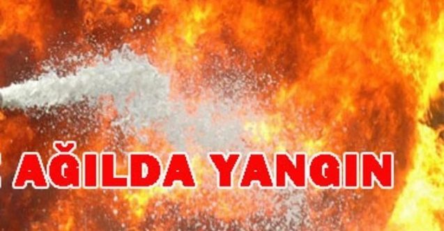 Ağılda yangın