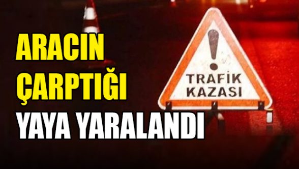 Arabanın çarptığı yaya yaralandı