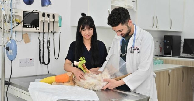 Geleceğin Veteriner Hekimleri Sahada Yetişiyor