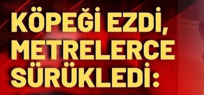 Aracıyla köpeği ezdi!