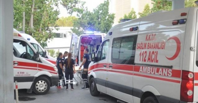 Ağaç kesimi acı sonla bitti