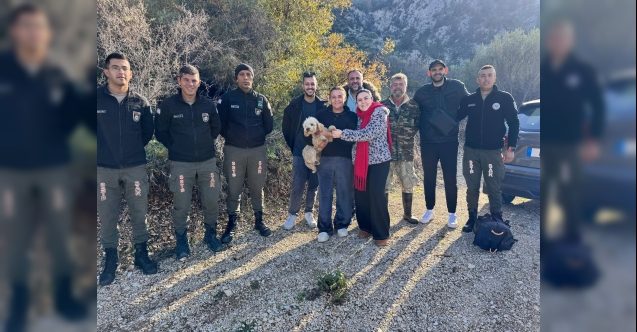 Dağda mahsur kalan köpek için seferber olundu