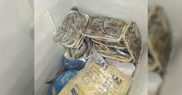 Sağlıksız şekilde satılan 16 kilo balık imha edildi