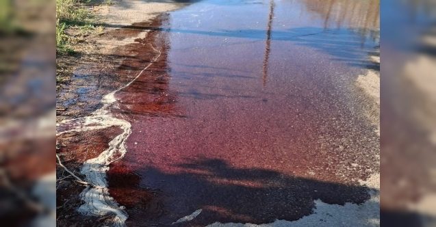 Mezbaha yolu kan gölüne döndü