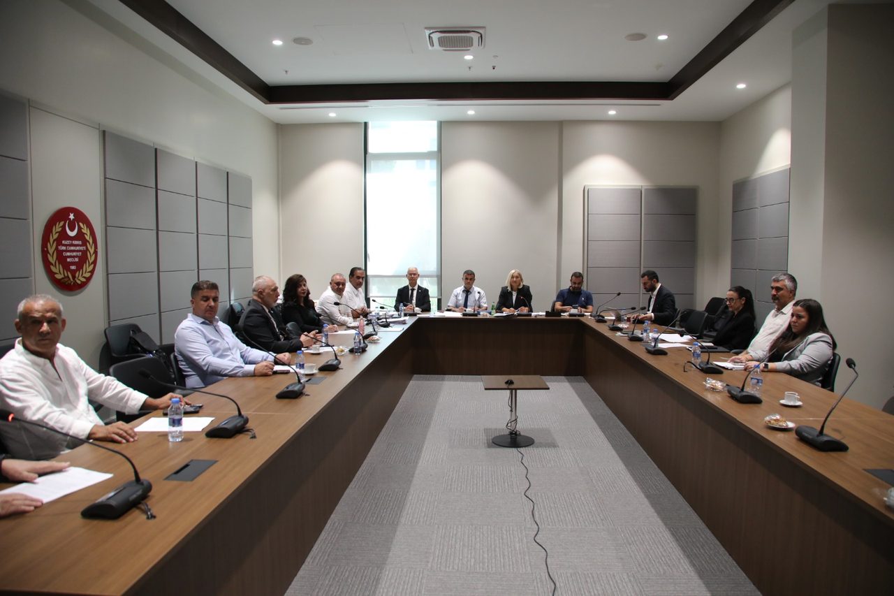 Seçim ve Halkoylaması Yasası Genel Kurul’a Oy Çokluğuyla Sevk Edildi